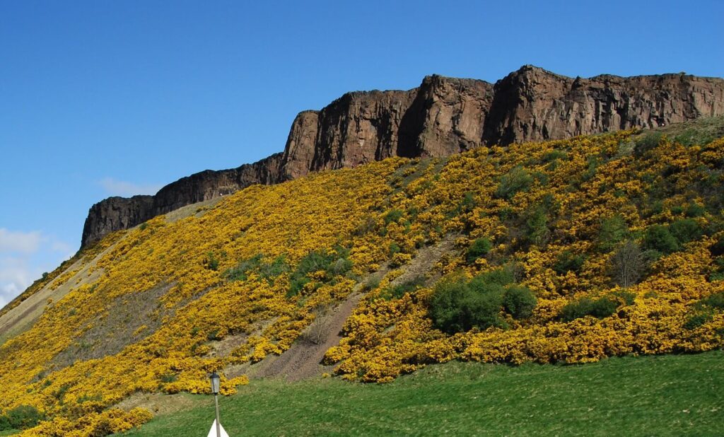 Arthurs seat