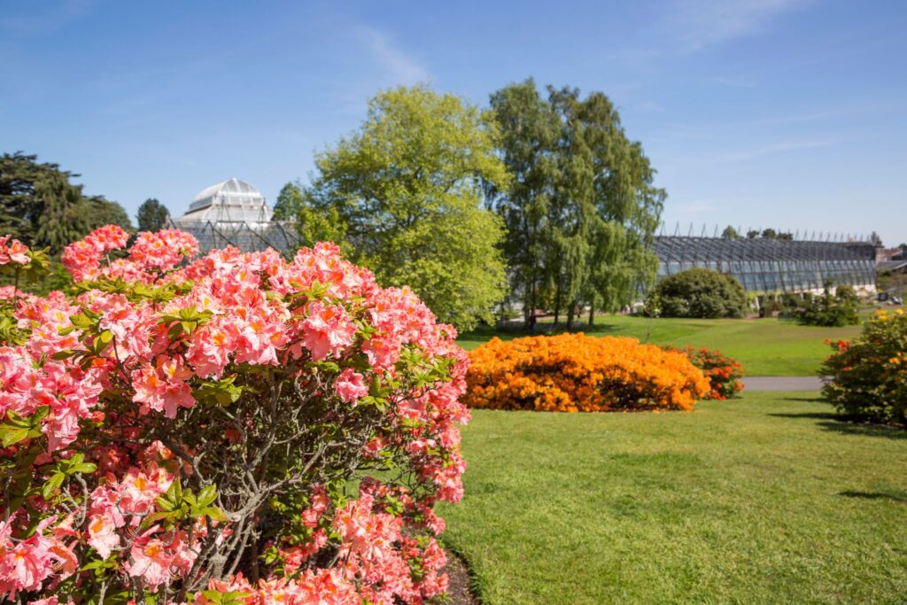 Royal Botanic Gardens, Edinburgh with flowers, trees and the building in the background