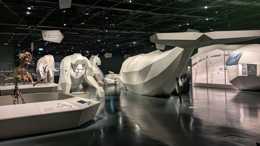 black room full of giant white prehistoric animal scupltures