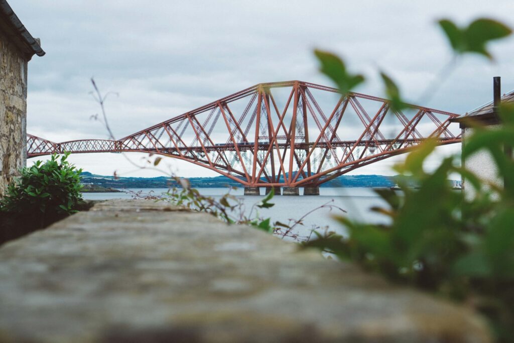 queensferry rail bridge with plants in the foreground
