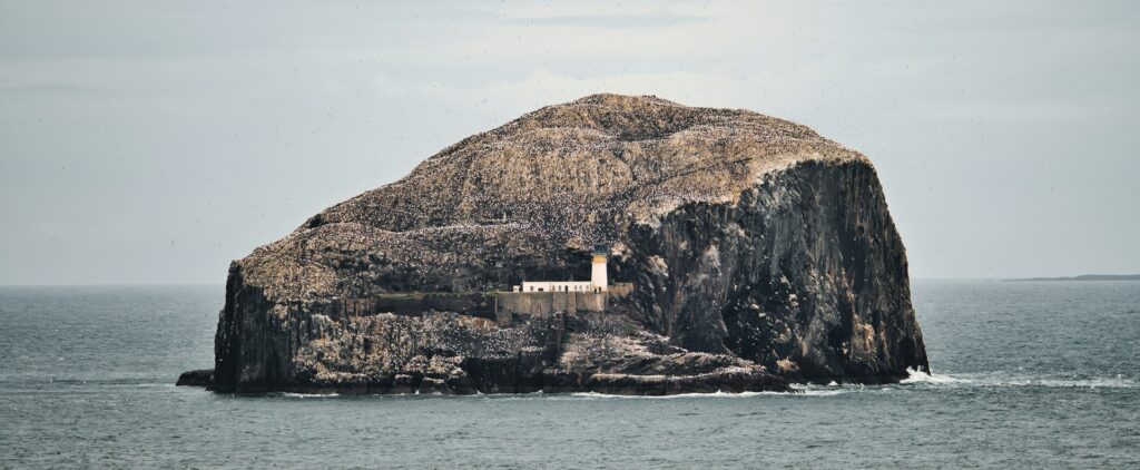 Bass Rock Scotland with the lighthouse sitting in the middle of the rock